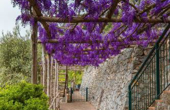 Villa San Lorenzo - Photo 55