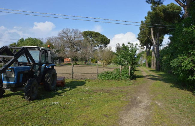 Agriturismo Tenuta Buon Respiro - Foto 27