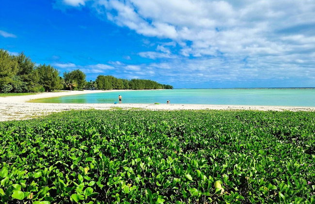 Natura Nikao Beach Villa - Foto 21