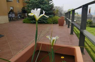 Estancia con jardín entre golf y monte - cerca Logroño - Foto 37