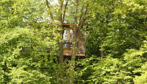 Baumhaus auf dem Kellerberg - Foto 3, Garden