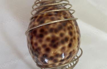 La casa sull’acqua - Photo 39