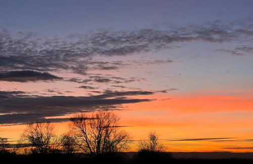 Bluebell Farm - Foto 21