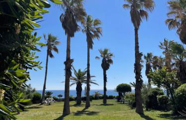 "Sabbinirica" - Photo 10