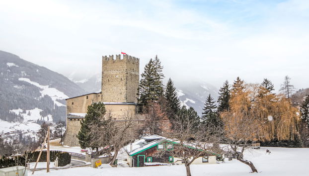 Burg Biedenegg, Heidenreich - Foto 2, House