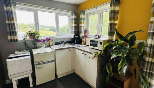 The Cabin Leat Road - Foto 4