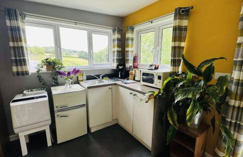 The Cabin Leat Road - Foto 4