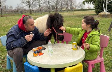 alloggio agrituristico zambon - Foto 3