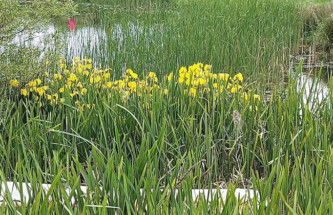 Luxury Spa Retreat by Sea - By Traum Ferienwohnungen - Foto 23