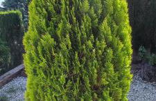 Acogedor apartamento privado con fantásticas vistas - Foto 31