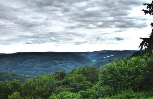 Relaxen am Eifelbach - Foto 25