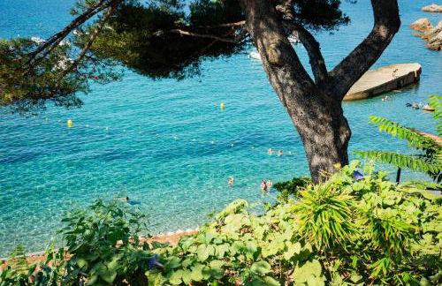 Cabanon moderne, les pieds dans l'eau, 2 chambres - Foto 46