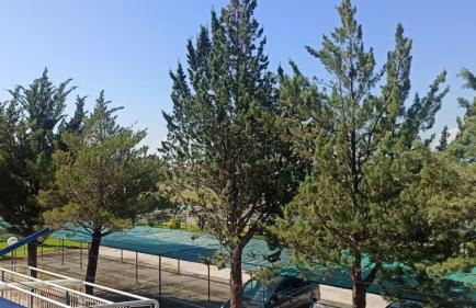 Casa caretta caretta - Foto 31