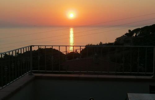 L' Elicriso - Photo 12