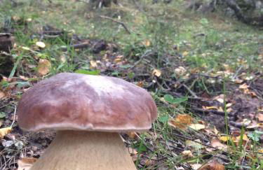 Los Chozos de la Braña - Foto 51