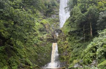 Maengwynedd, Llanrhaeadr Ym Mochnant - Foto 24