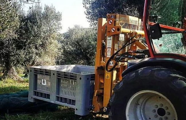 Villa Cavalletti - Foto 45