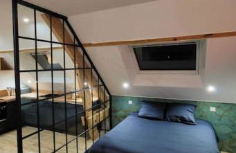 Hypercentre : vue cathédrale - verrière - cosy - Foto 8