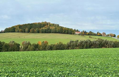 Schlossblick und Komfort in Stolpen - Foto 22