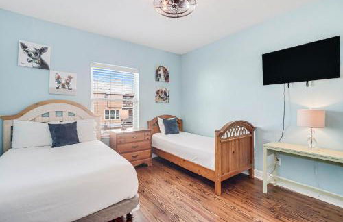 The Blue Shell - Photo 29