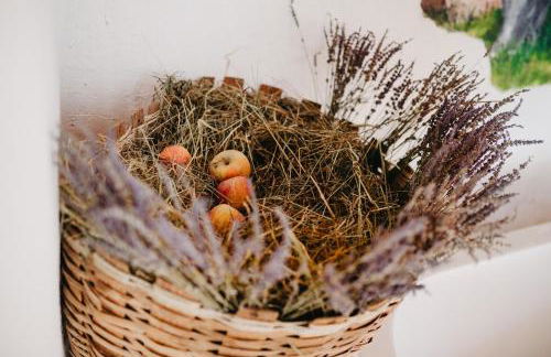 Odomi maso nel bosco - Eleganza e Relax nella Natura - Foto 72