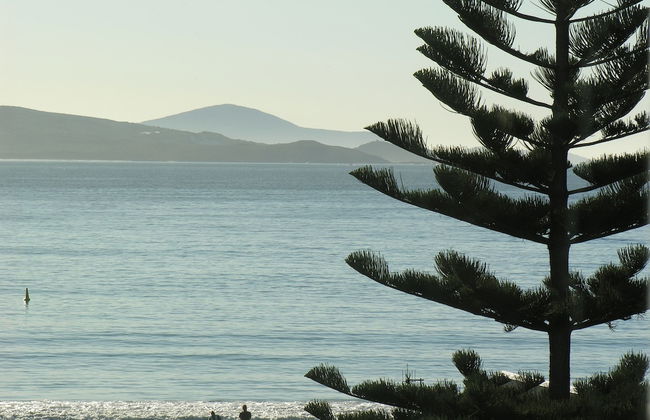 Castlereagh on Middleton - Apartment 4 - Photo 22