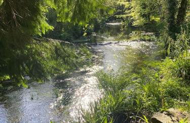 The Artists Studio - Foto 21