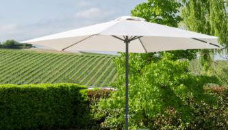 White Tail Organic Farm - Foto 3, Garden