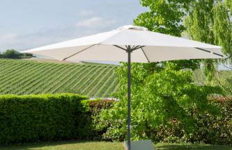 White Tail Organic Farm - Foto 3