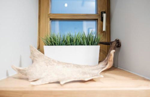 Suite Franz Tegernsee - Foto 21