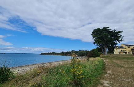 Le Bernique - A 50 mètres de la plage - Foto 1