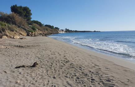 Villetta Vivaldi - Foto 18