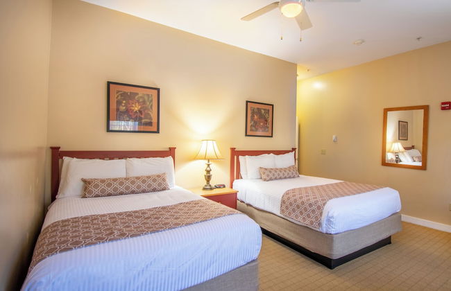 Attitash Mountain Village - Photo 31