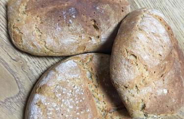 AGRITURISMO B&B BIO LA TANA DEL LELE - Foto 20