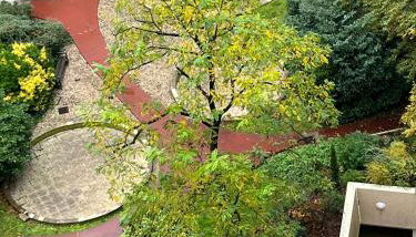 Appartement lumineux 46m2 20e - Foto 5, Garden, Garden view