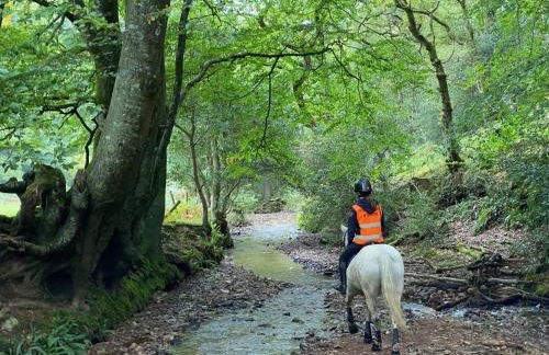 Pardlestone Farm – Self-Catering Cottages - Foto 58