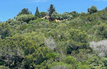 Apartment Monte Rosa - Foto 1