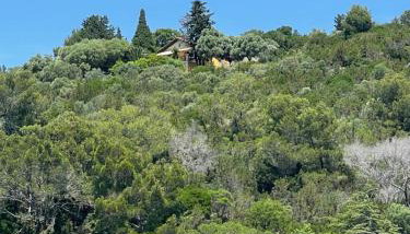 Apartment Monte Rosa - Foto 1