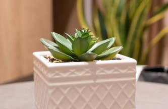 Swell Oinousses Apartments - Foto 24