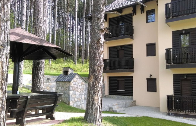 Apartment Bubica Zlatibor Best for Family Holidays and Couples in Love - Photo 21
