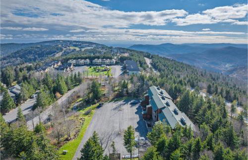 Mountain Crest Cabin - Foto 38