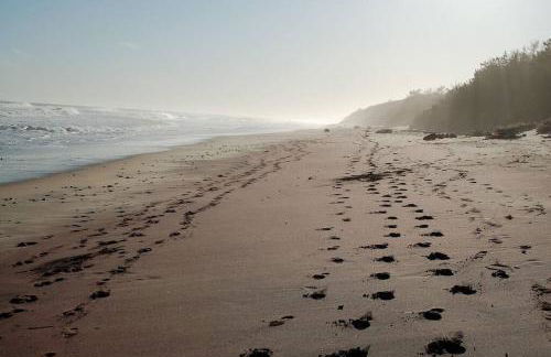 4BR 3BA Hot Tub Media room Weekly rates - Foto 29