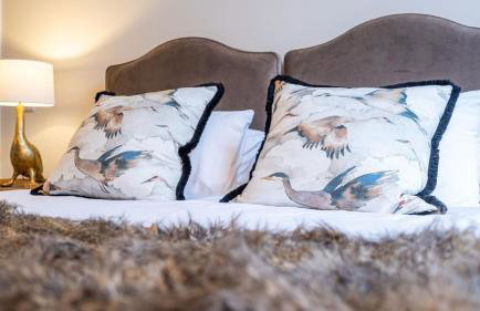 Plas Madoc Coach House - Foto 67