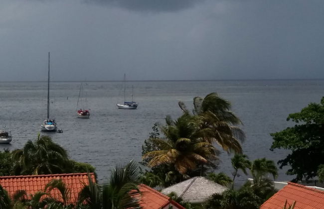 Turtleback Pavilion - Foto 54