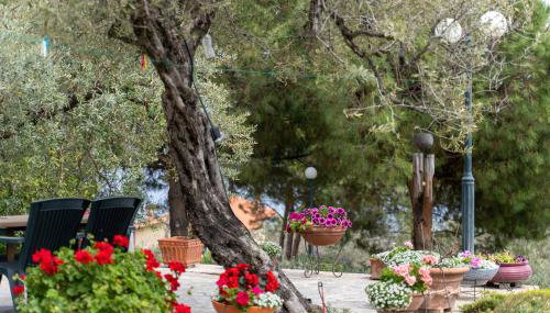 Villa Elia Kavala - Mediterranean Holiday Villa - Foto 3