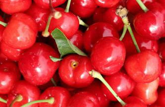 A Casa do Soito - Foto 47