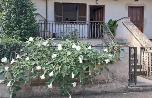 a Casa Ida - Foto 42