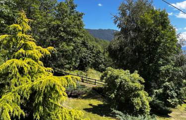 Chalet Cheverel (AO) - Foto 3