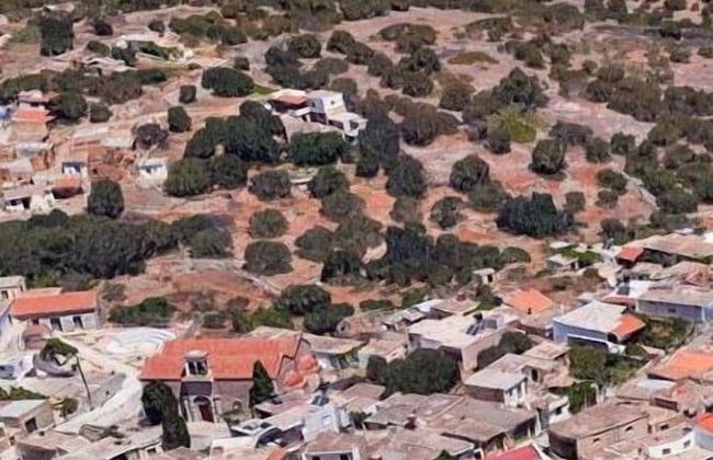 Almond Trees Villas - Foto 47