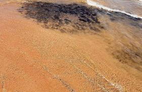 Carmela temporada Balneário de IRIRI Espírito Santo ES - Foto 78